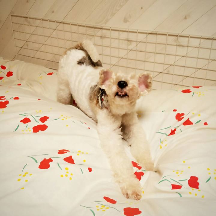 D73c973c a5b7 4a61 b960 abb41d2720fe