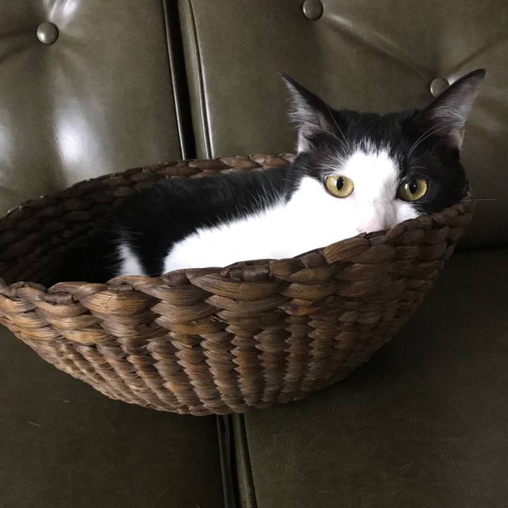 D73ccc14 4e47 40c8 ae0c ee539e26fde1