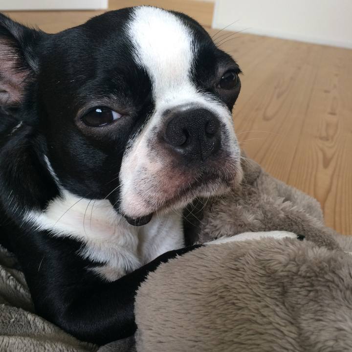 D73cf2ef 91d5 4f39 a58f 8a277bcce573