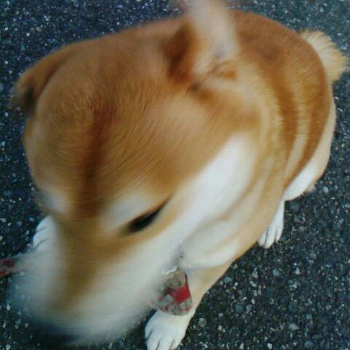 D73d7fd9 86c9 4016 8932 3cae70fd23c7