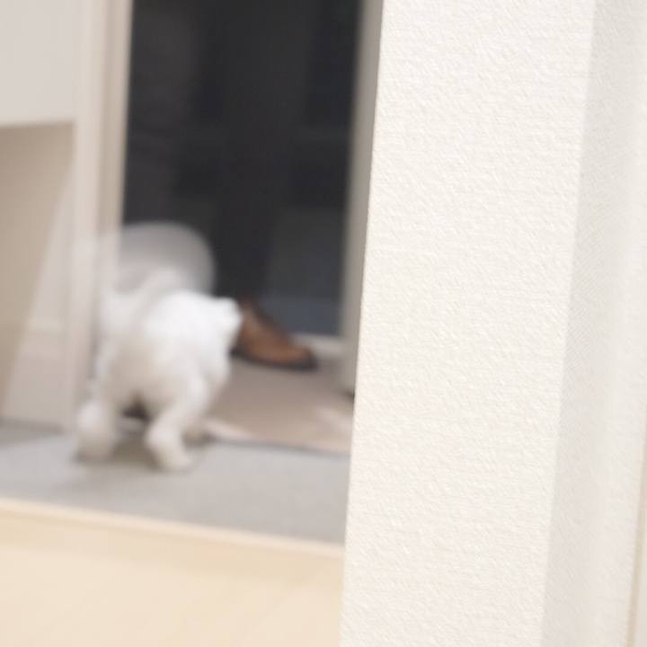 D73dfc9b 2cc2 44da a7e3 501766d826fb