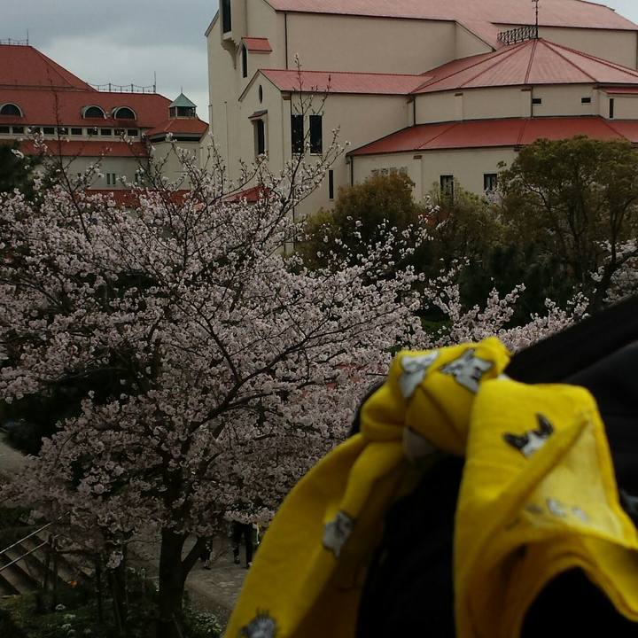 D73e06b8 f135 45d9 9658 4a6a7f87fe57