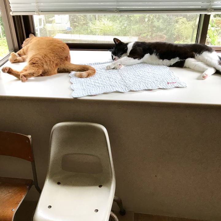 D73e79d6 663f 4473 a8be 74ed165f1e66