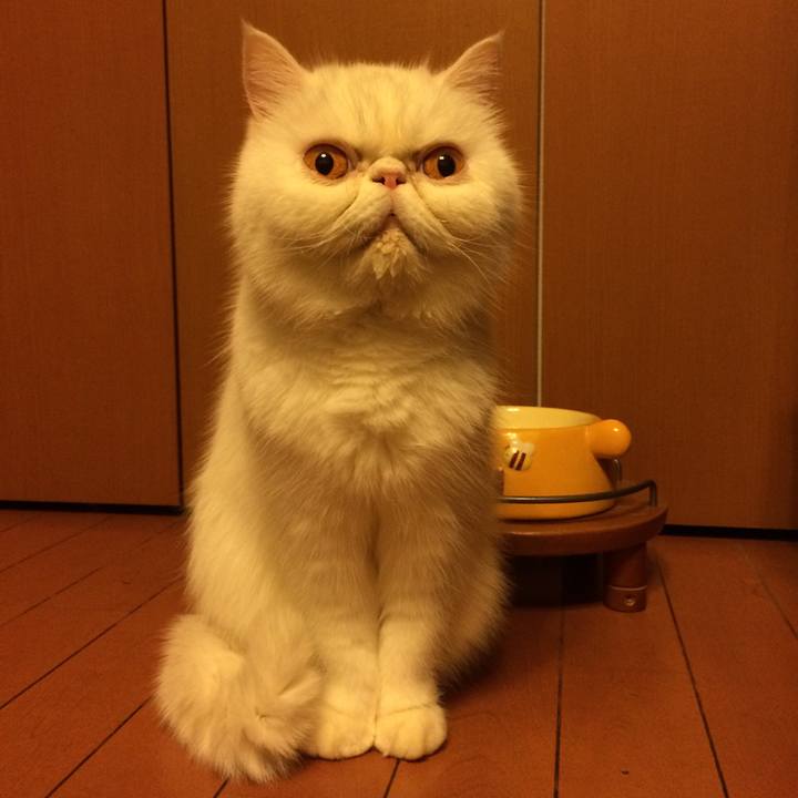 D73e8a33 70b1 4977 8c84 afcffb548f49