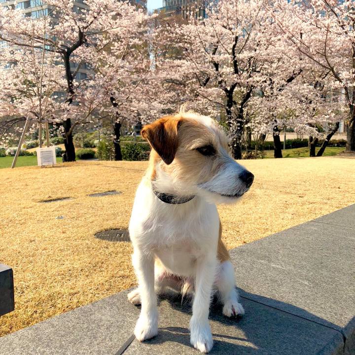 D73e8cdd 52e3 4d58 bc54 a631bb3fb083