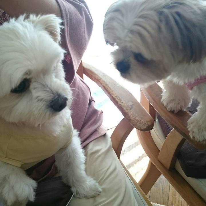 D73e908c c651 4b73 9f83 0c201c6f9357