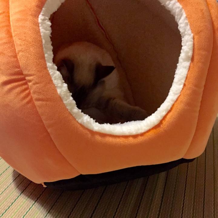 D73f4eab bc20 4b6a 9013 43e92668b08a