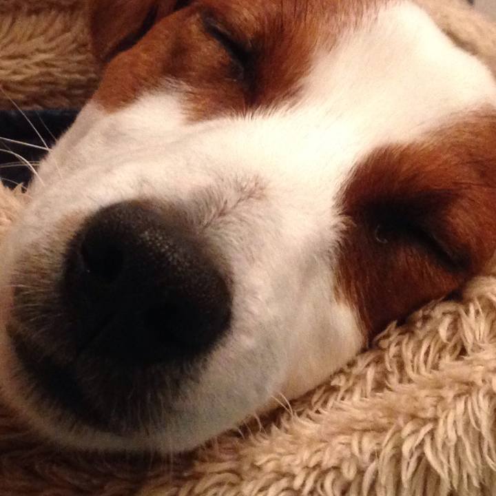 D73f7349 2bbd 4f77 ba61 73413772c19b