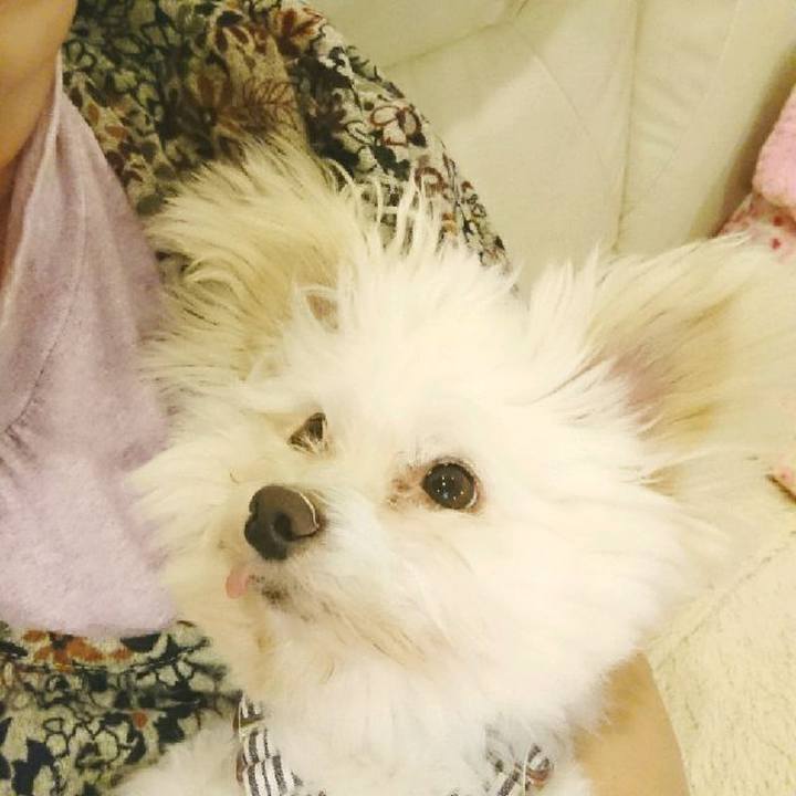 D7402a03 af4a 4793 91b4 c270c7ffdc3a