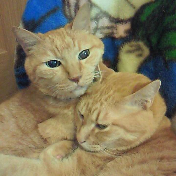 D7405073 8ac4 46fe ae08 077ed8d403d6