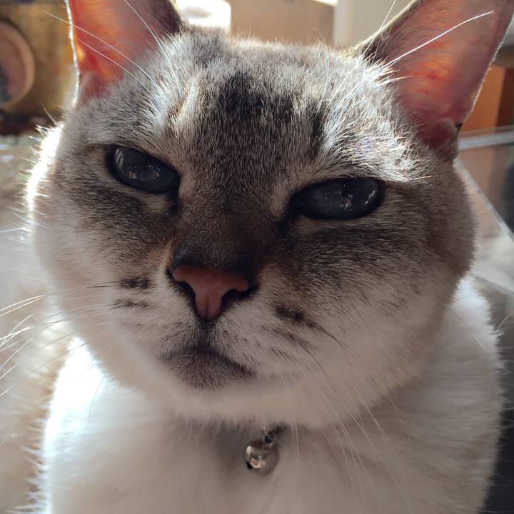 D74068be 1c44 4c6c aa6d 2bde9ae24e35