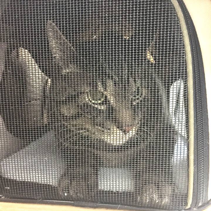 D740915f d5bb 4996 9404 77b37622d36c