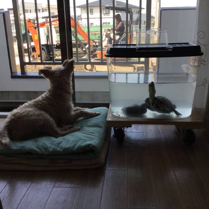 D740a3ab f5e2 4693 987d 7a73bb86a0c4