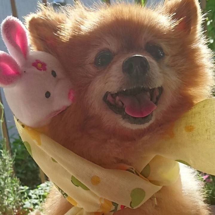 D741791f 719a 433f 9bfd d4c733282d5f