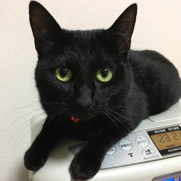 D74200de 283c 4627 9908 27bca3efc544