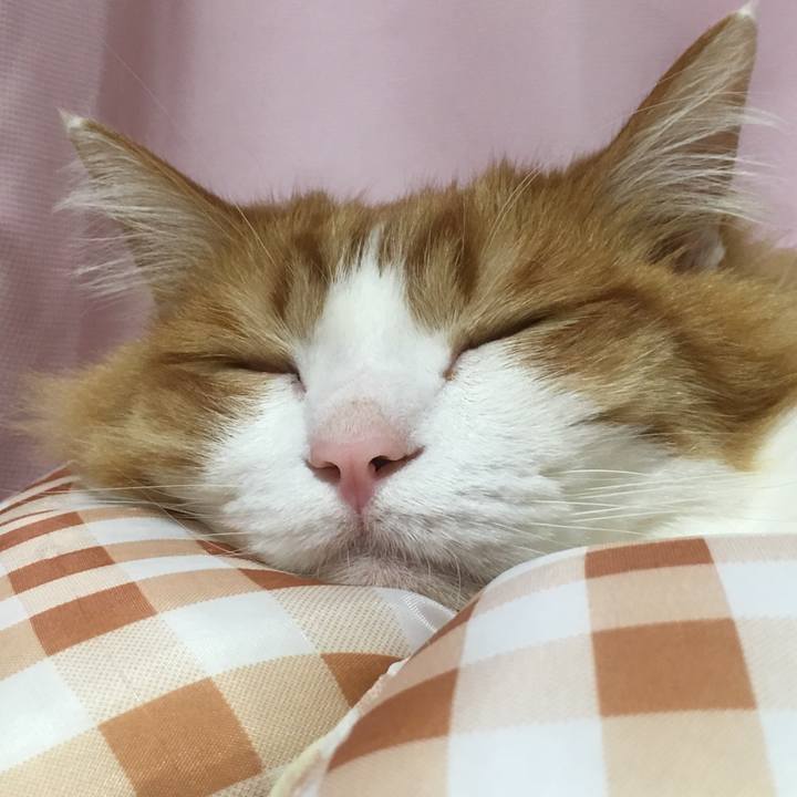 D74245f1 7730 4e22 8a4f b8bdccad01dc