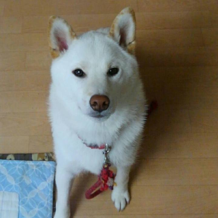 D742c76e 59c2 4b50 93c5 d1f0955a09b7