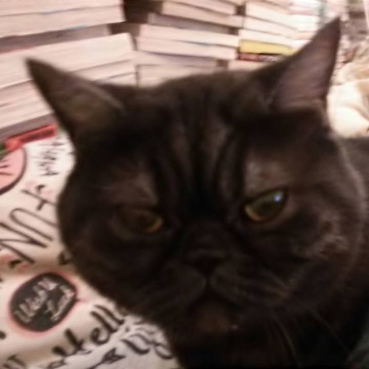 D7432e32 6718 401d 8a23 1c4fd7661f85