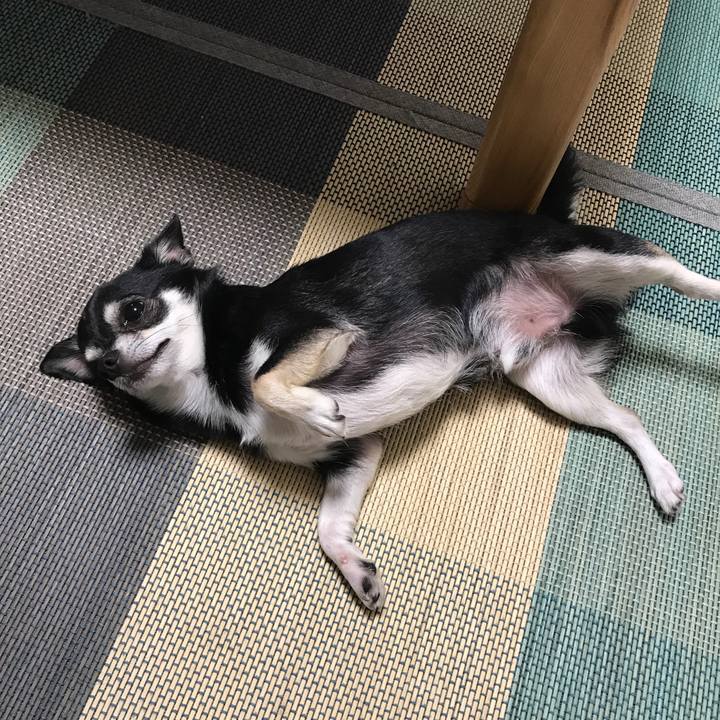 D743578e 83e3 4fb0 a2bc 874ac0145d0d