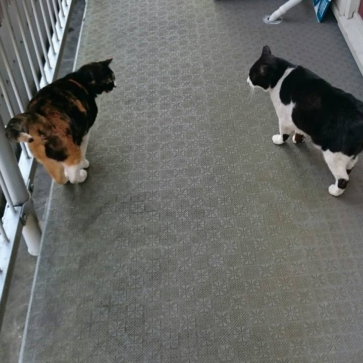 D7435e28 471d 4426 a70c ec2a0ffe1d3b