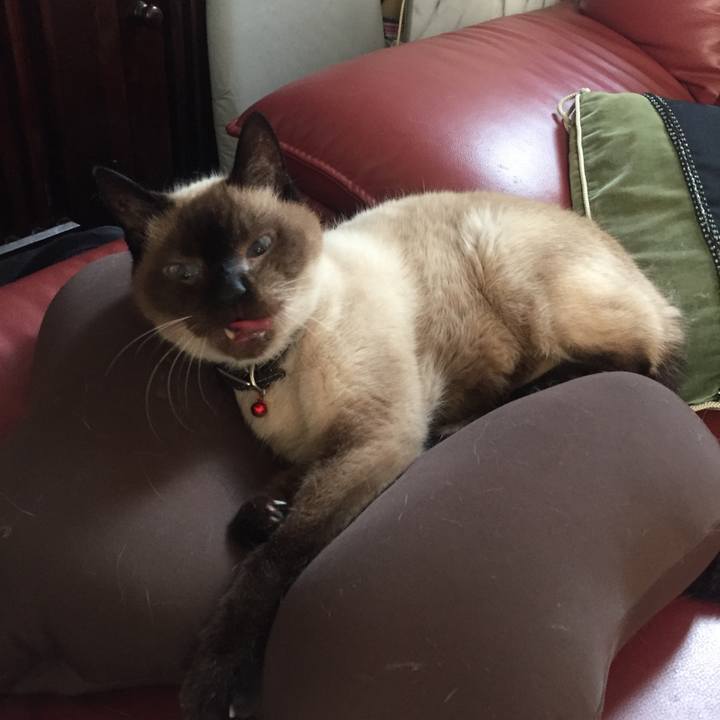 D743be2e 58d0 4669 80b8 f3019edb463c