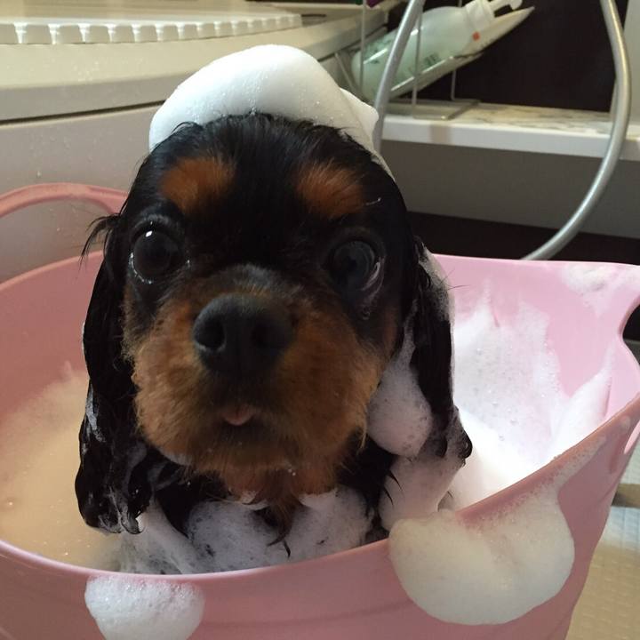 D7442914 2f43 4375 bce4 fc8fe45b3627