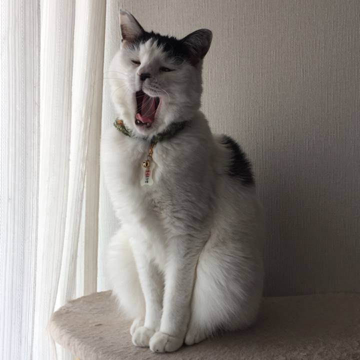 D7447892 4af4 4cf4 8c9d 7dcc101f6d47