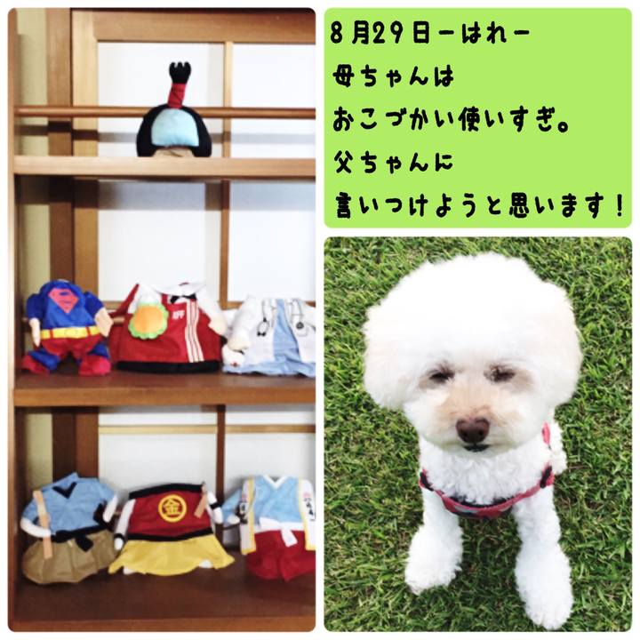 D745232f 1490 43d9 a387 ecc16e69d789