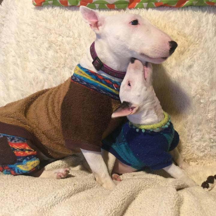 D7453d2b df9c 415d 97fd fda7710fa6fe