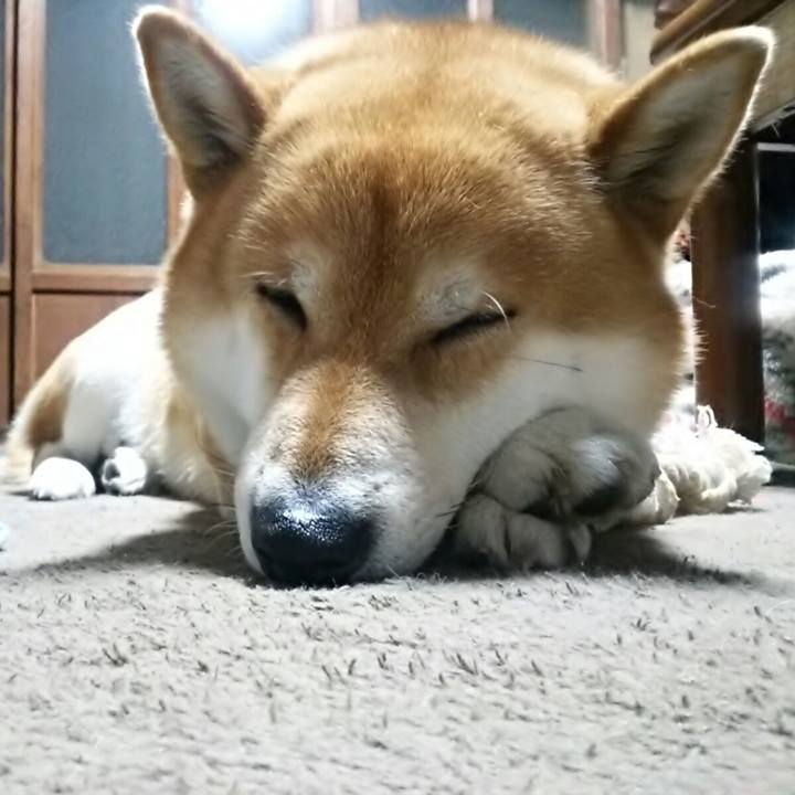 D7464226 c558 49d1 8fd2 62f93a4591b2