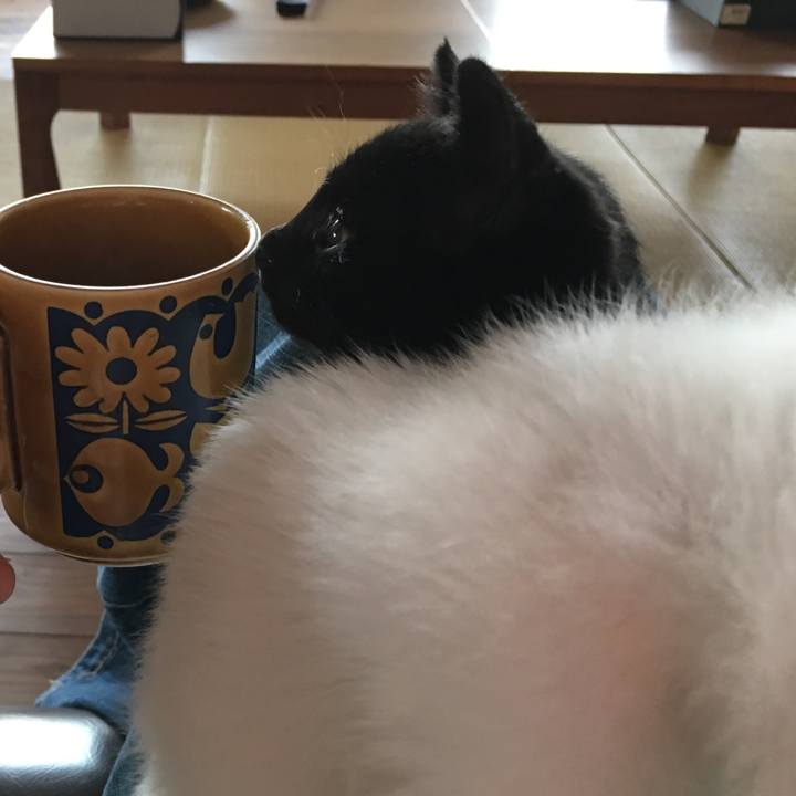 D746651d de90 4a50 b5d9 db481e111f7e