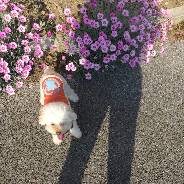 D7470a51 699d 44e1 9c39 291e2332d92d