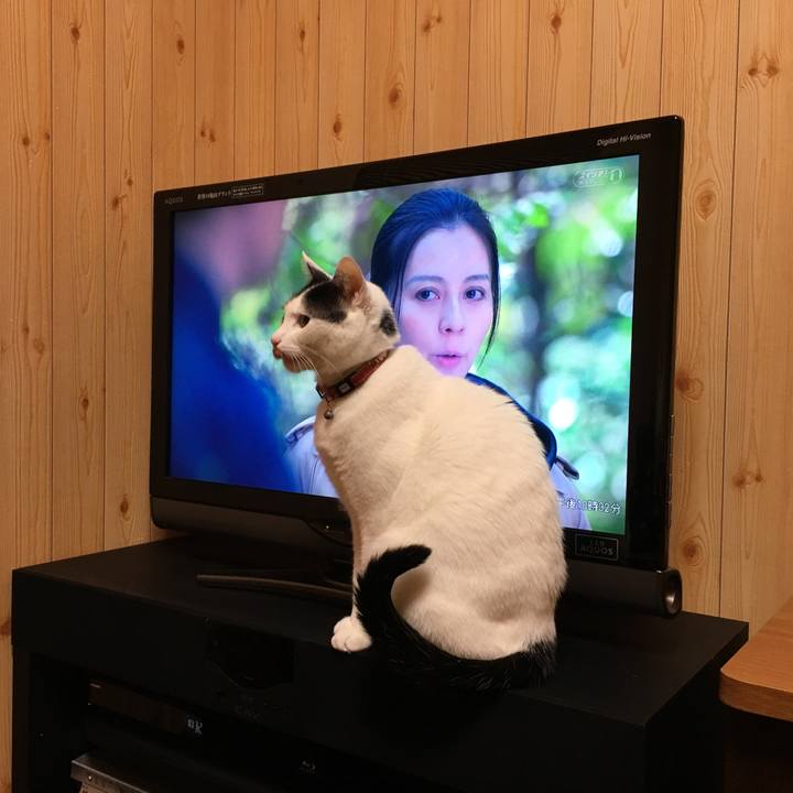 D747190d fbbe 4e3c ae4a b85905488f38