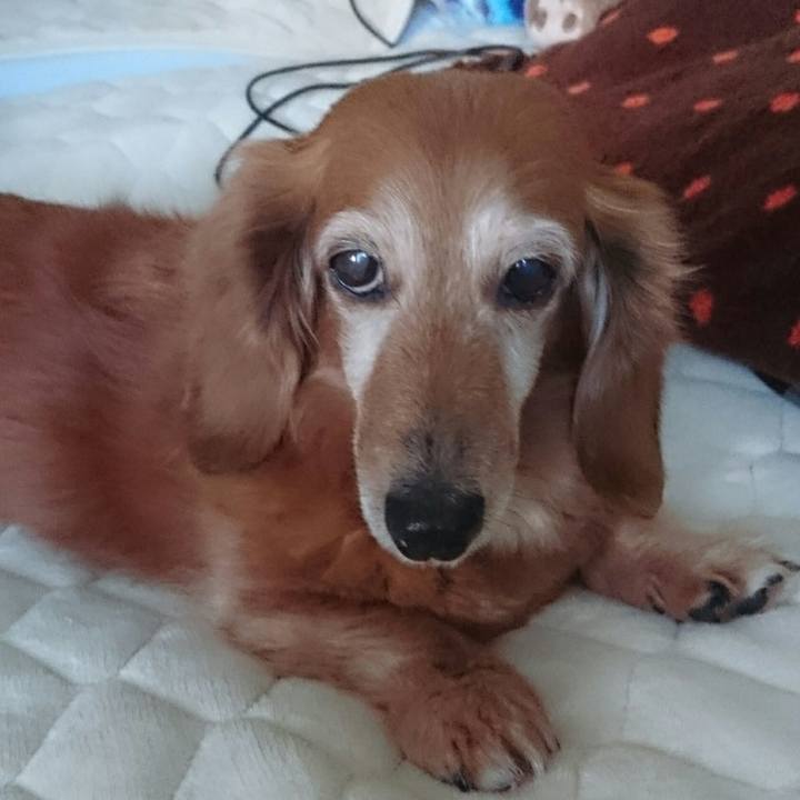 D7478af7 30d7 4bd2 9207 9ec29ed1a52f