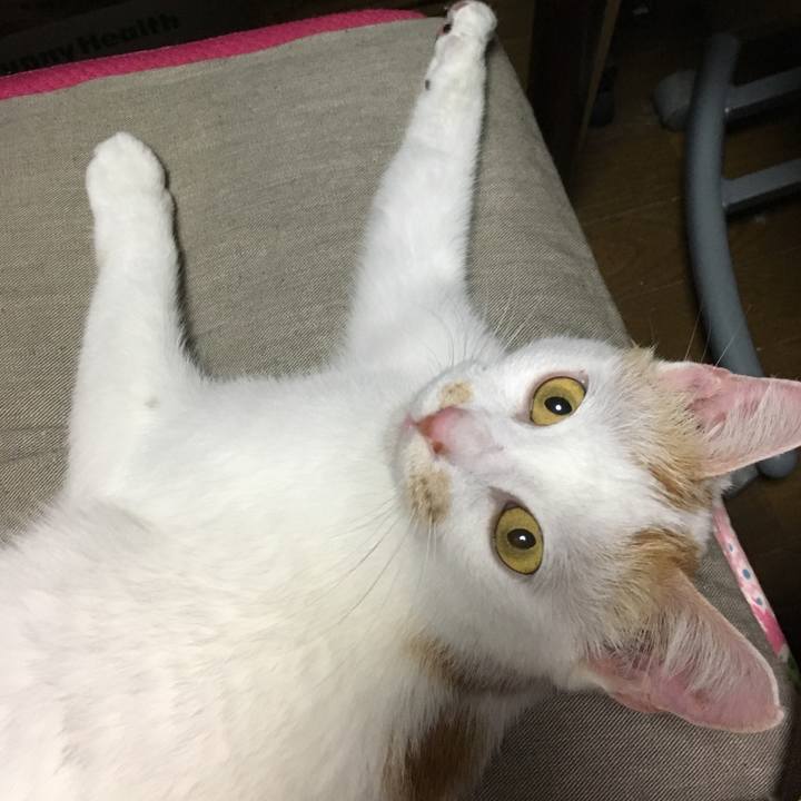 D74804fa 033e 498b a082 e12d31d9c486