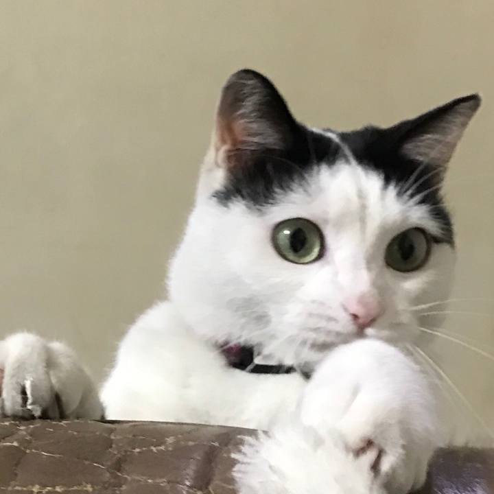 D7485440 0798 4fee 8933 69524eeefdfe