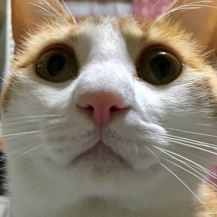 D7487249 9661 47f5 8356 94b1e9c7e785