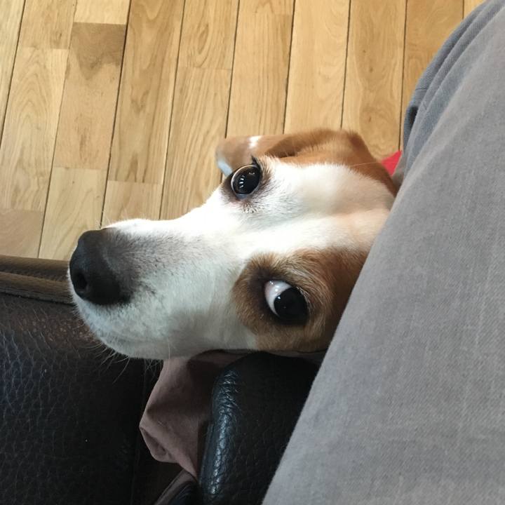 D7495434 e10c 45fe b7ce 652fae7a520c