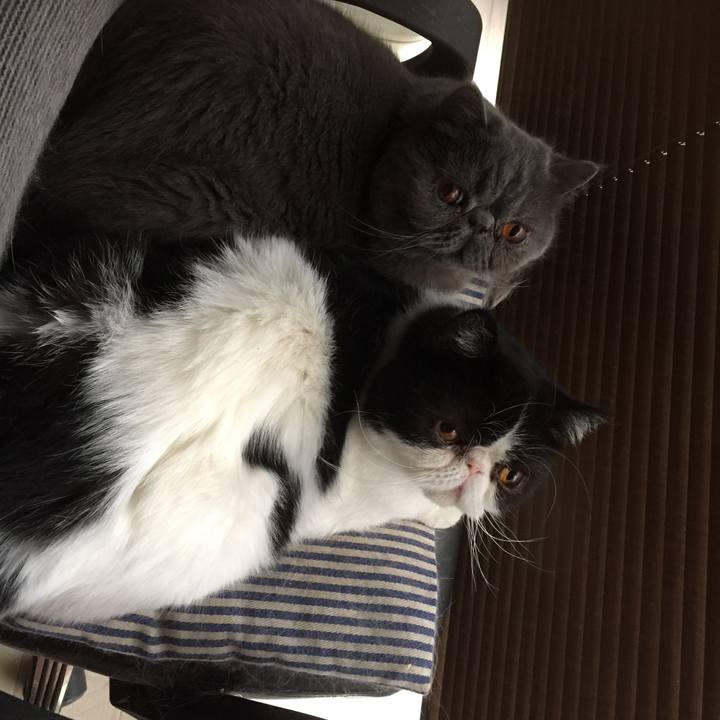 D7496076 3747 4561 a2e8 0b1d9c1b0e0a