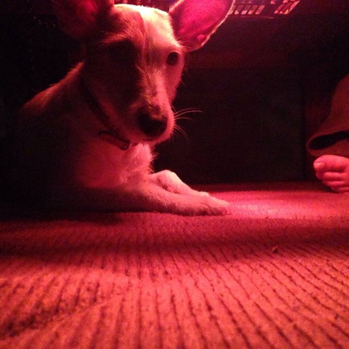 D749632f 1bc9 4dc9 aa4c 710be28ff267