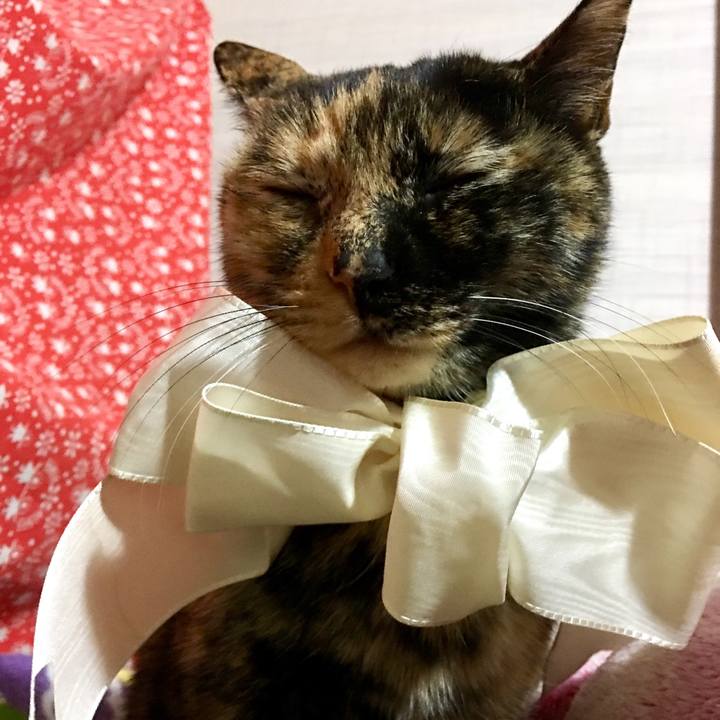 D749f631 22c3 4ccd a999 eab47526f3e6