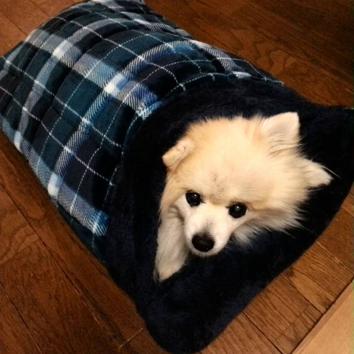 D74bf944 1442 4a8b 9b7e 249b1a99665e