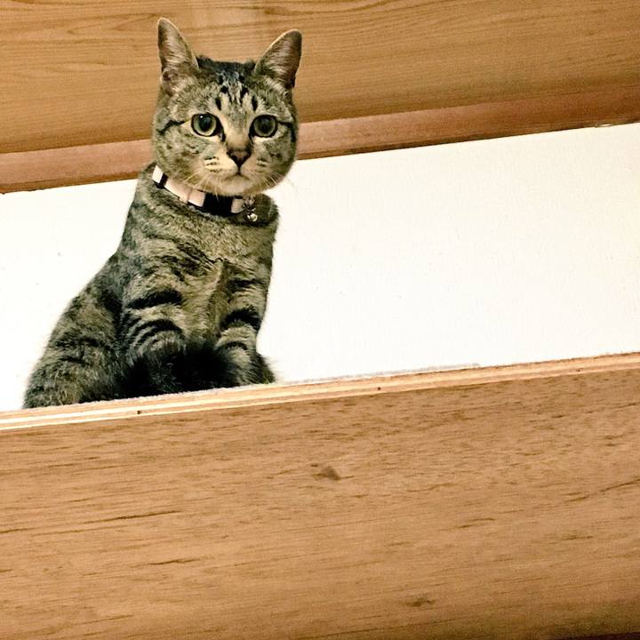 D74c1b57 5c1a 45c9 8ddf 31eb49f19cda