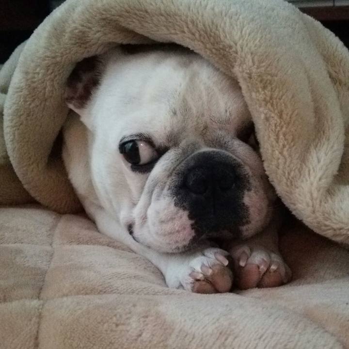 D74ca245 7375 44f8 b9ec e7deb9766648