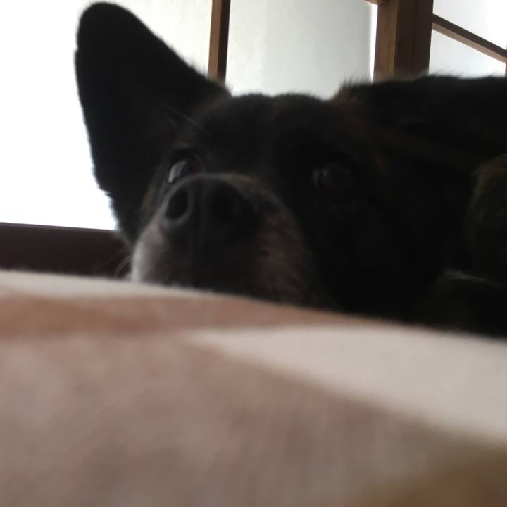 D74cc4c4 dc15 4fa1 af01 3a7dcf92a569