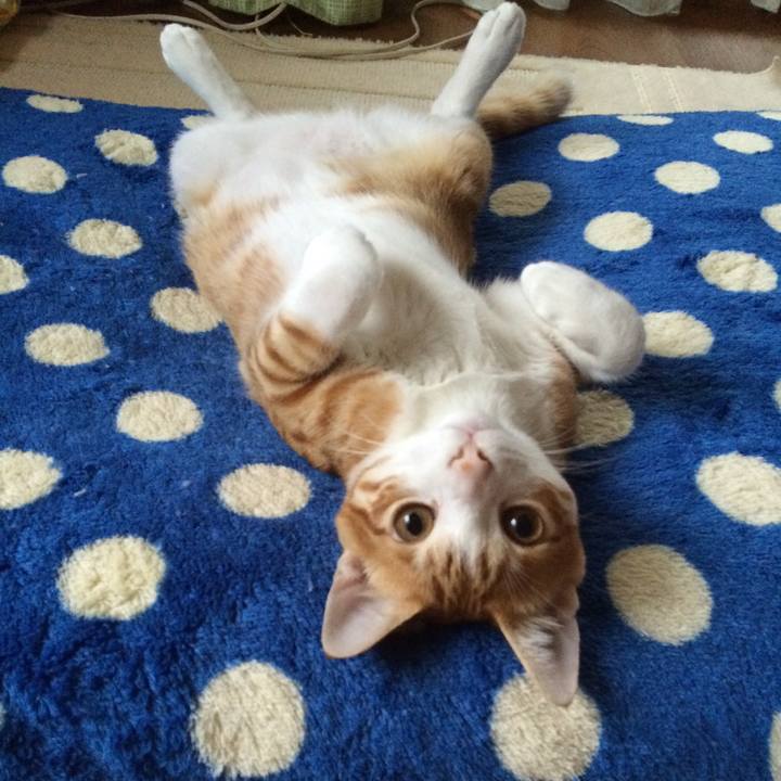 D74e8038 d6a5 417b b183 771473637b33