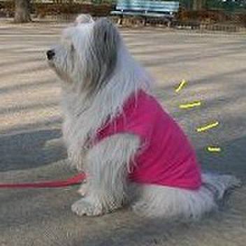 D74f9606 425d 4dd0 bdc5 8dba77c30c23