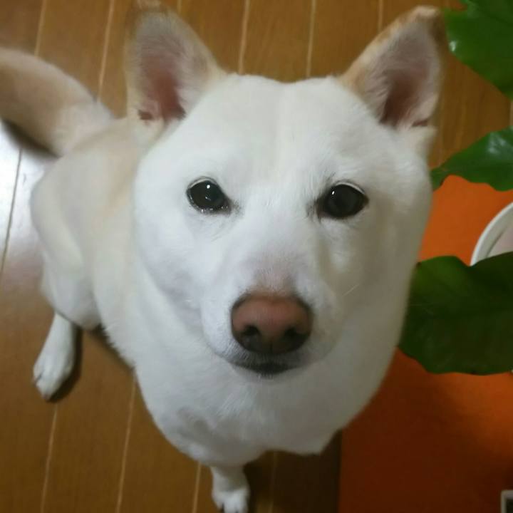 D74fa7a5 ca29 40ce a996 83949c625f8b