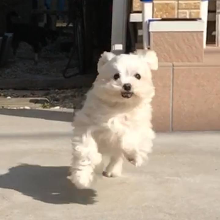 D74fe835 3f67 4548 b9f3 7172ff3c5896