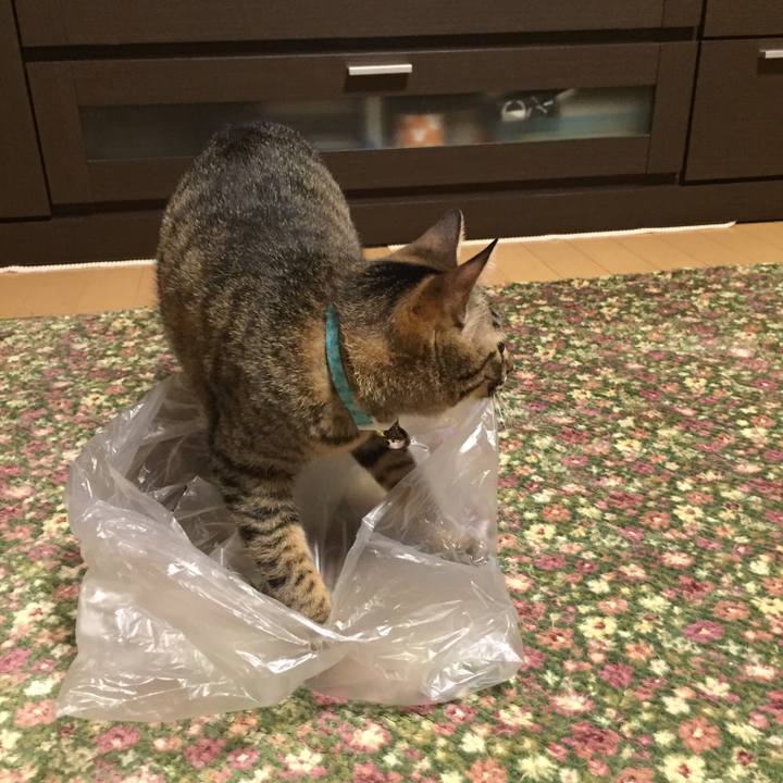 D74ffaa1 9f39 4563 9790 1b0b38dfe699